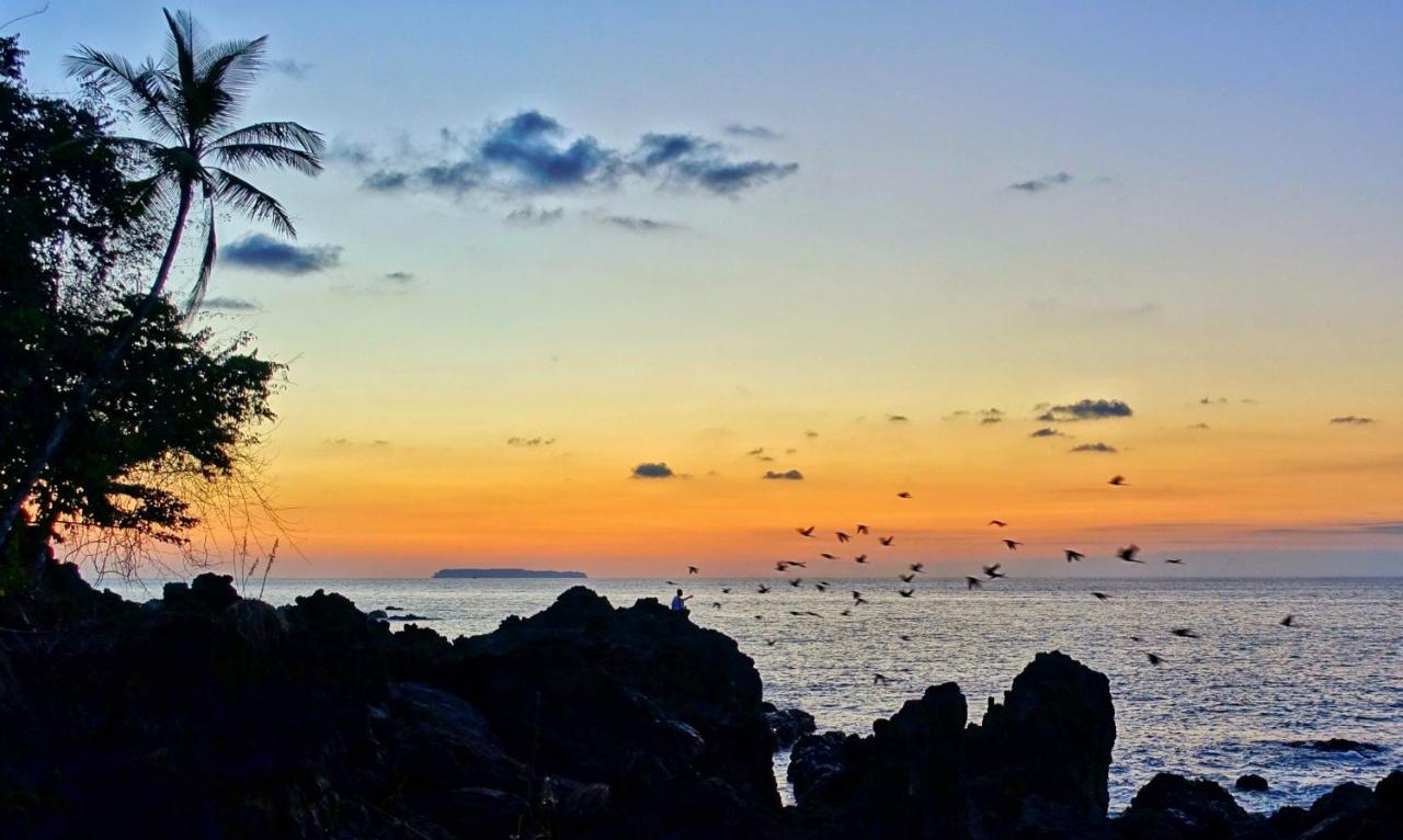 Drakes Bay Corcovado Adventures旅舍 外观 照片