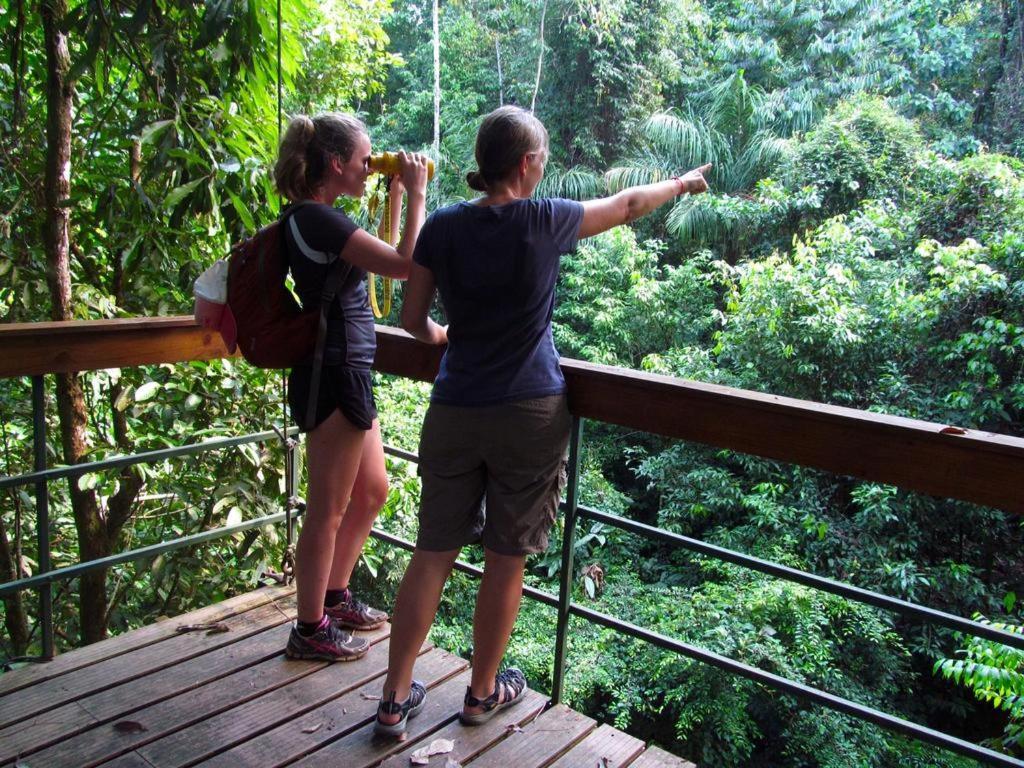 Drakes Bay Corcovado Adventures旅舍 外观 照片
